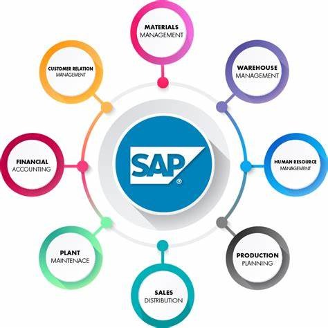 SAP Basis Formation Plan